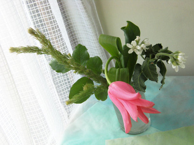 2014_333.jpg