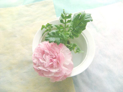 daikon2_600.jpg