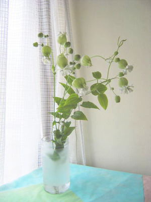 greenbell1.jpg