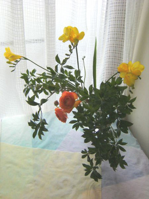 hana2_600.jpg