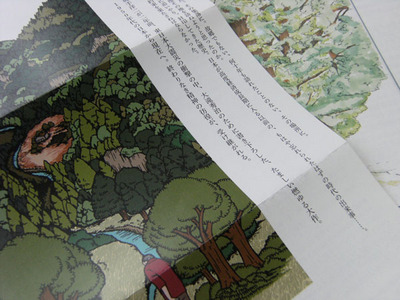 p6.jpg