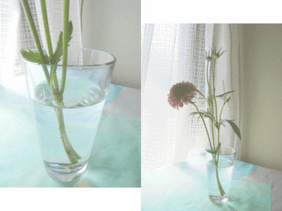 s.gif